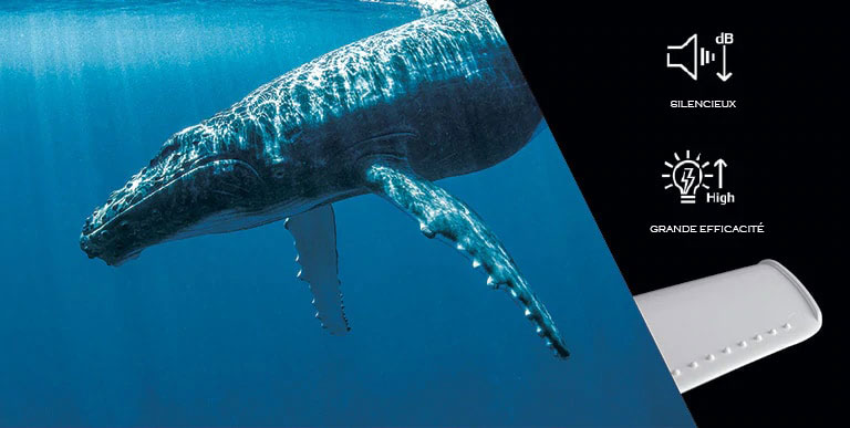 Conception biomécanique LG LCF12P